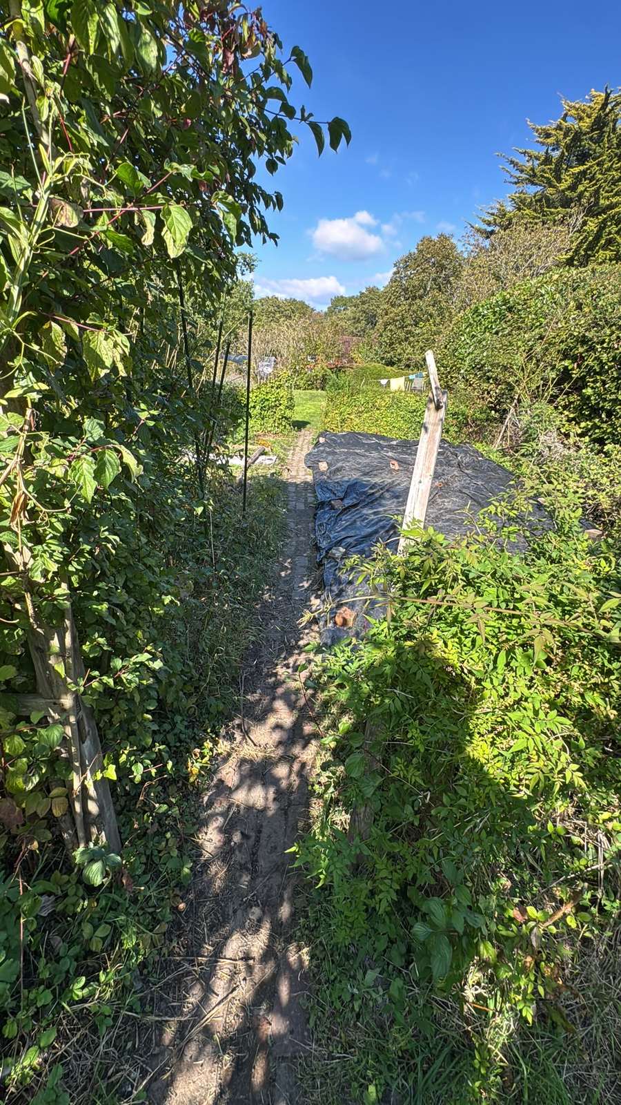 The rural approach at the Sussex end — a narrow path rather than kerbside parking